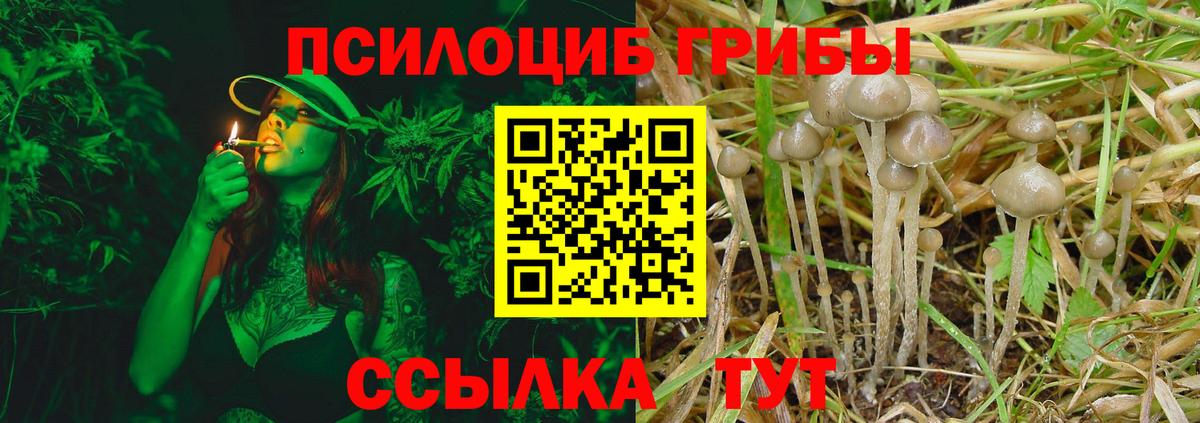 Галлюциногенные грибы Magic Shrooms Армавир