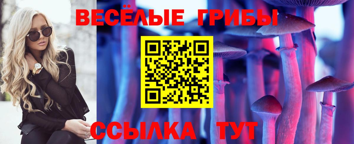 Галлюциногенные грибы Magic Shrooms  Вход с VPN  Армавир 